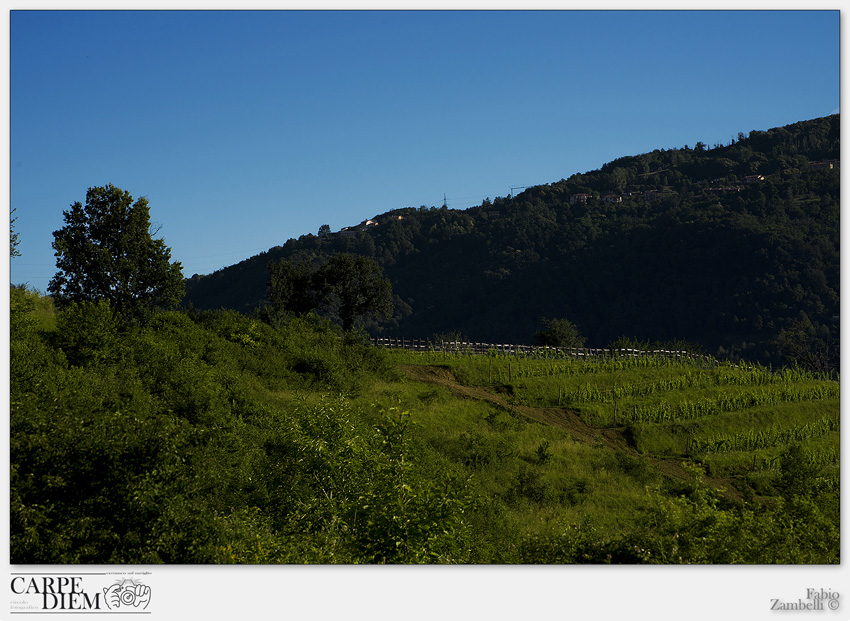 LA COLLINA.jpg